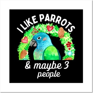 I Like Pionus Parrots and Maybe 3 People Posters and Art